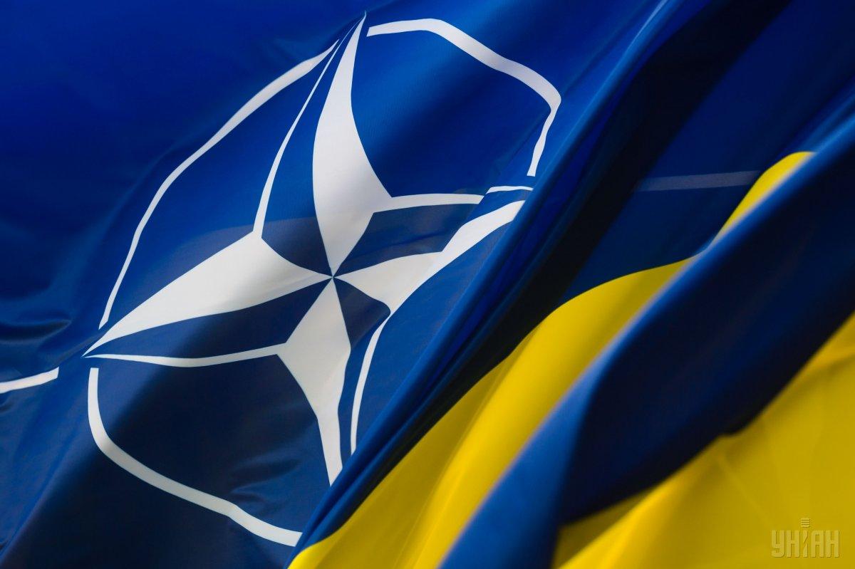 Не всі члени Альянсу підтримують вступ України в НАТО в нинішніх умовах через можливу реакцію Росії
