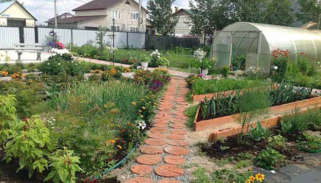 - дозволяє власникам саду безперешкодно доглядати за овочевими культурами і ягідниками на грядках;