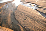 Річковий пісок - використовується в якості розпушувача грунту і сприяє правильному розвитку кореневої системи